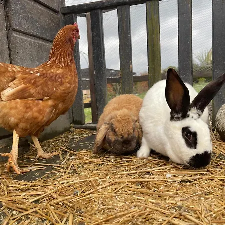 Nuit Insolite En Tonneau Nature Et Animaux Petit Dejeuner Inclus 3* Florent-en-Argonne