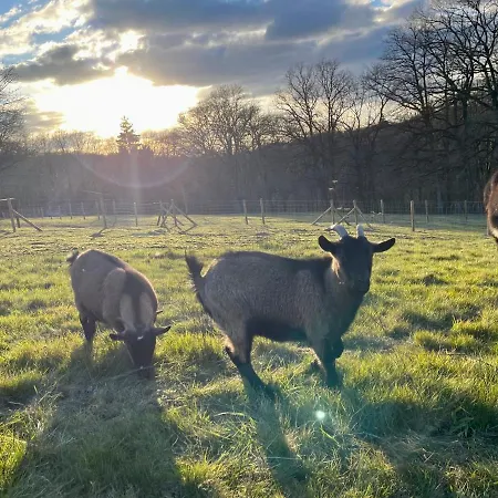 ゲストハウス Nuit Insolite En Tonneau Nature Et Animaux Petit Dejeuner Inclus 3*