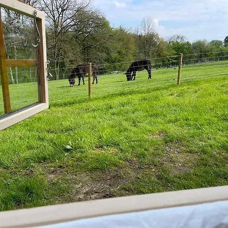 ゲストハウス Nuit Insolite En Tonneau Nature Et Animaux Petit Dejeuner Inclus