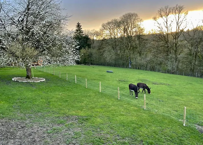 Le Hameau Pensión Florent-en-Argonne