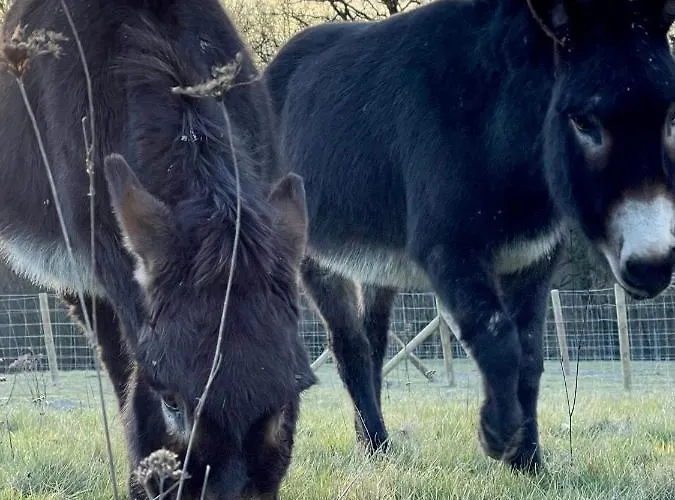 Pensión Le Hameau 3*
