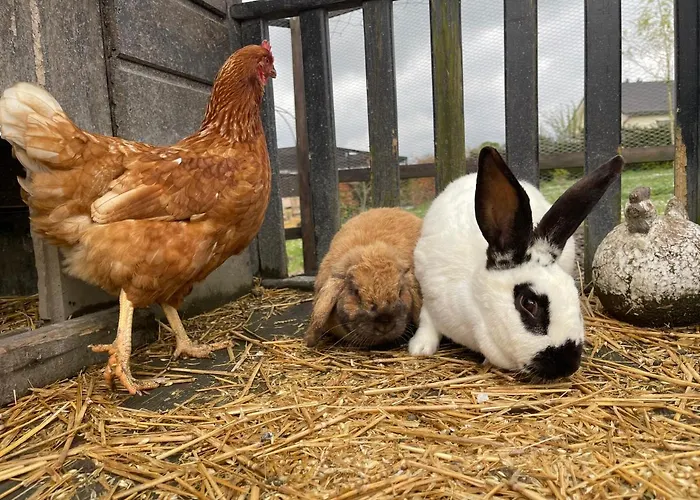 Le Hameau 3* Florent-en-Argonne