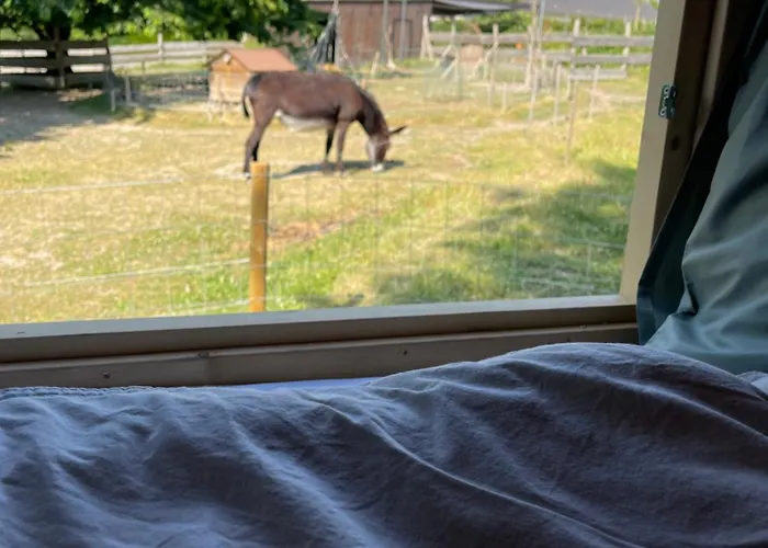 Le Hameau Pensión 3*